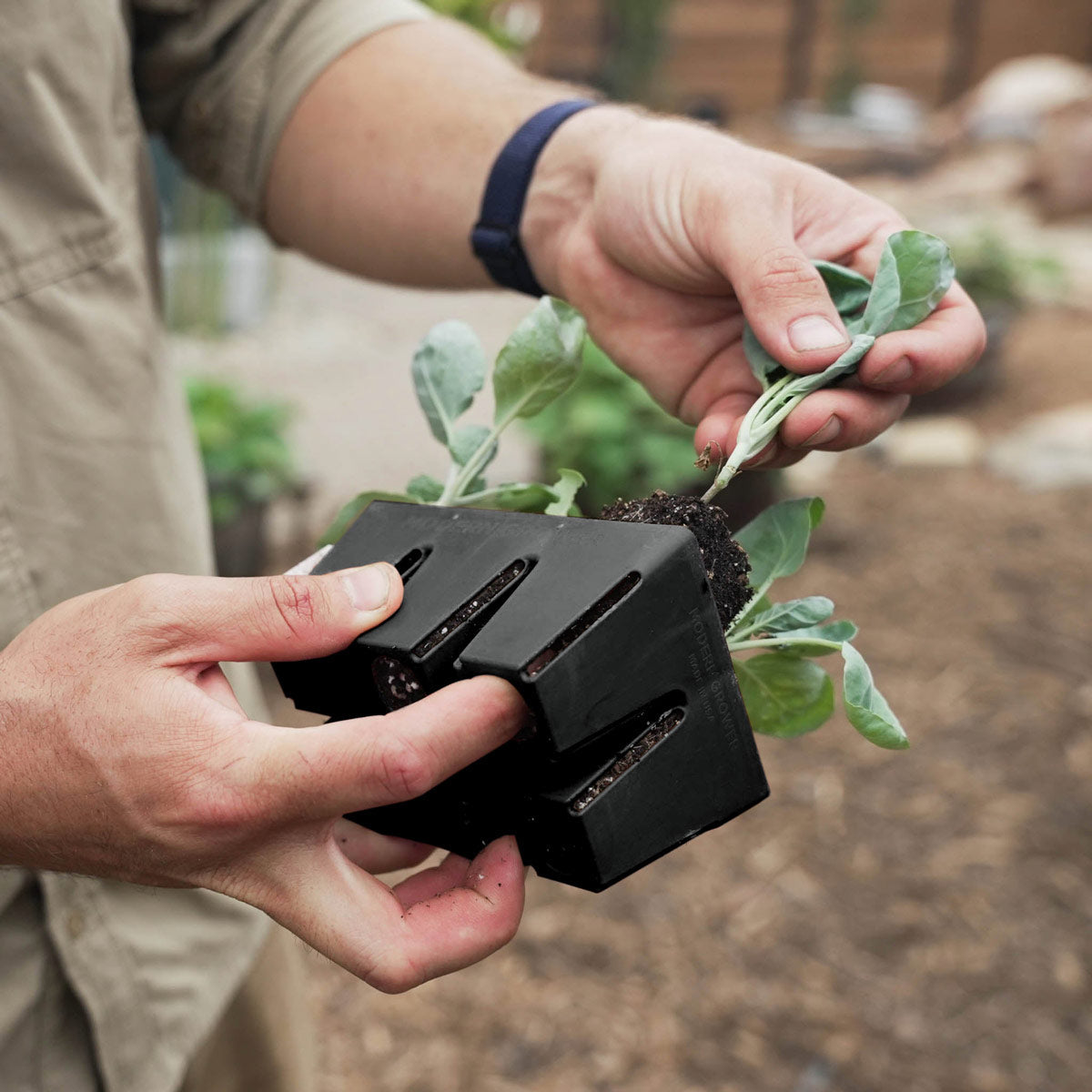 Premium Seed Starting Kit for Gardeners